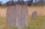 Magnetic Termite mounds